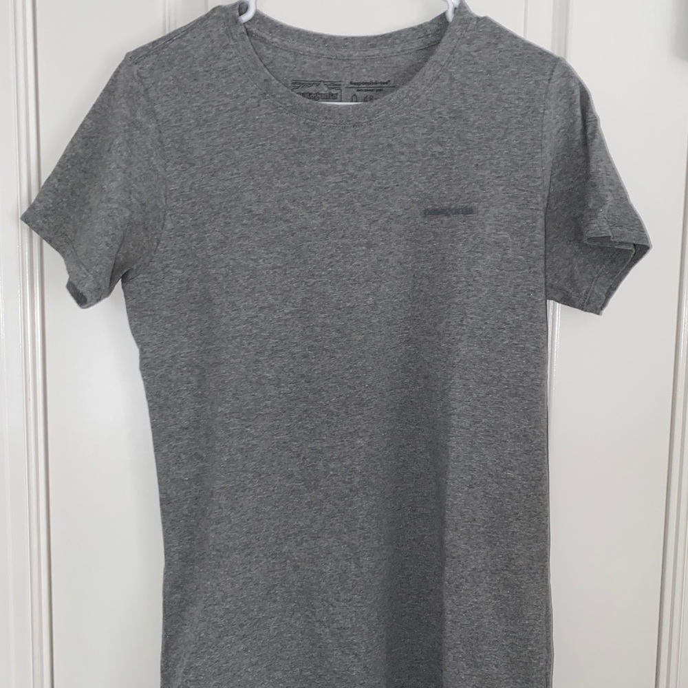 patagonia t-shirt